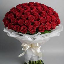 Букет 101 Красная роза Блэк Мэджик в Свирске