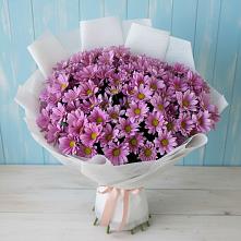 Букет цветов из:  Хризантемы в Свирске