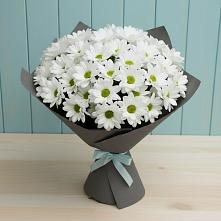 Букет цветов из:  Хризантемы #REPLACE_PRED# Свирске