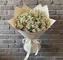 Букет цветов из:  Ромашки в Свирске