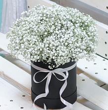 Цветочная композиция из Гипсофила в шляпной коробке #REPLACE_PRED# Свирске