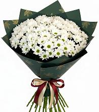 Букет цветов из:  Хризантемы в Свирске