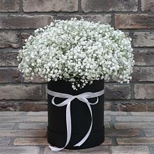 Цветочная композиция из Гипсофила в шляпной коробке #REPLACE_PRED# Свирске