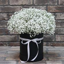 Цветочная композиция из Гипсофила в шляпной коробке в Свирске