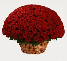 Премиум букет из: Розы #REPLACE_PRED# Свирске